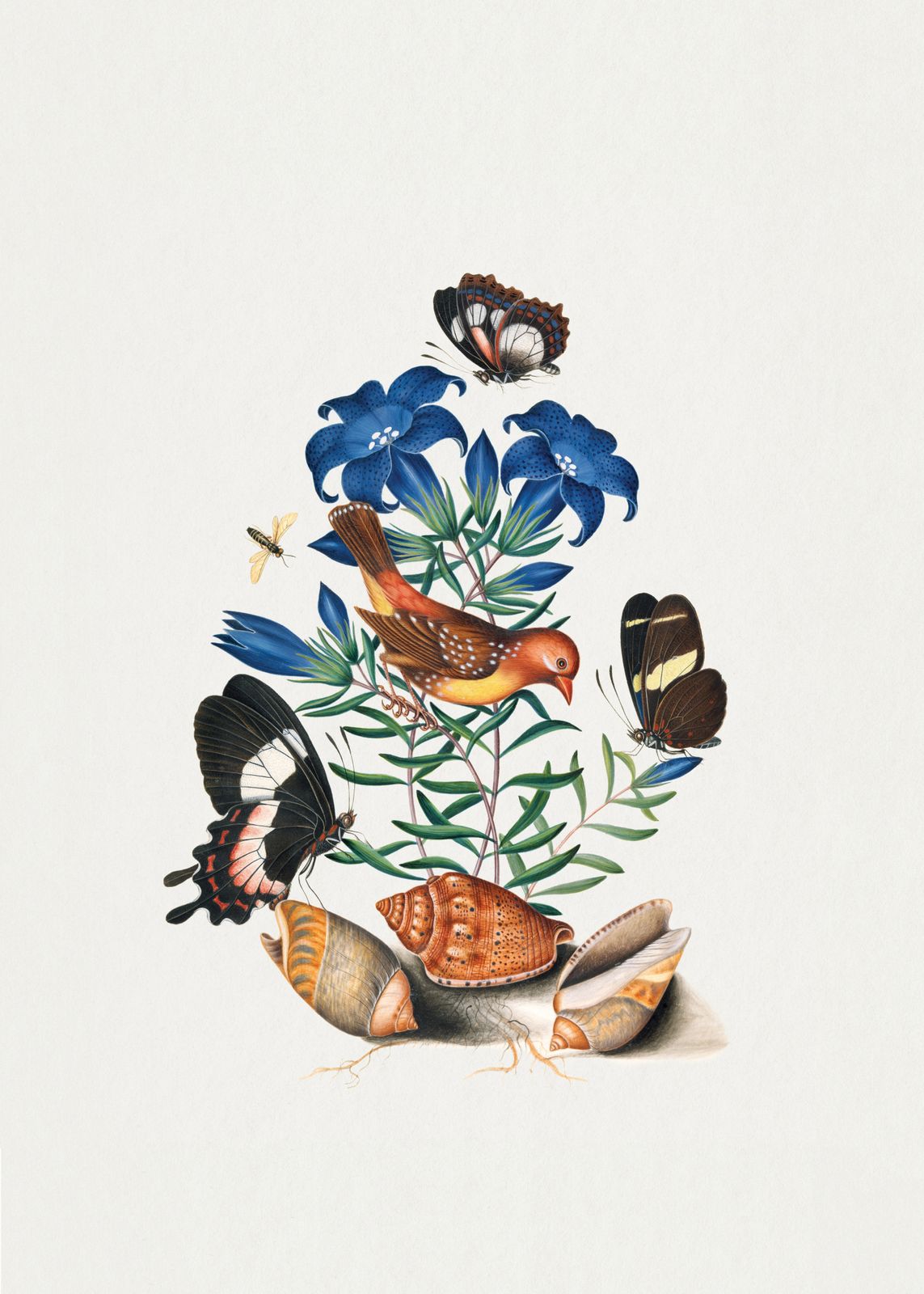 Poster - Natur med Blå Blommor