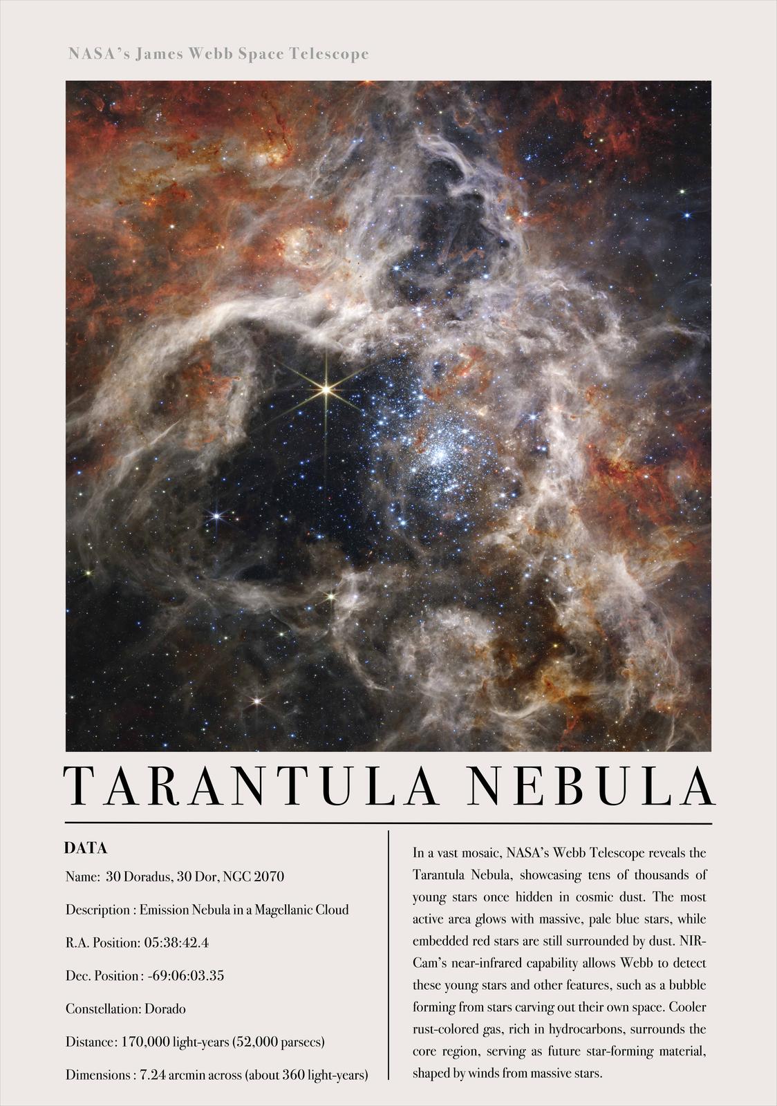 Poster - Tarantelnebulosan