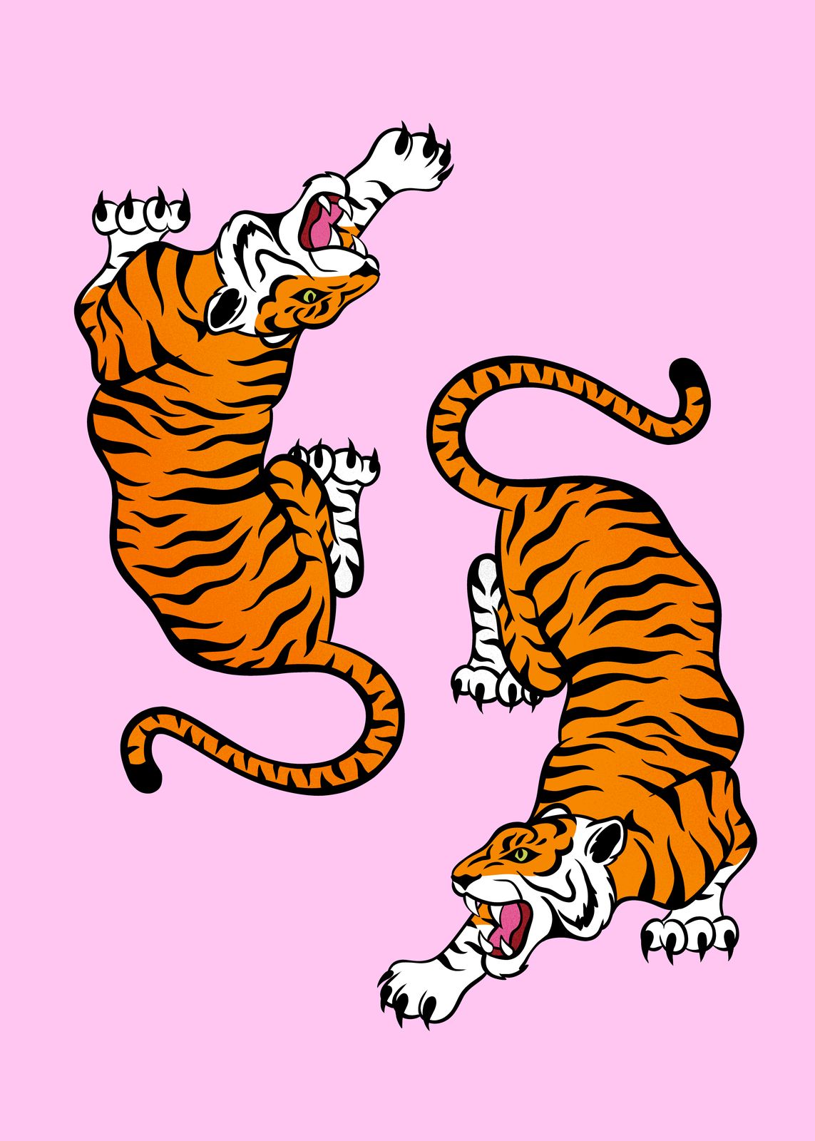 Poster - Tigrar på Rosa