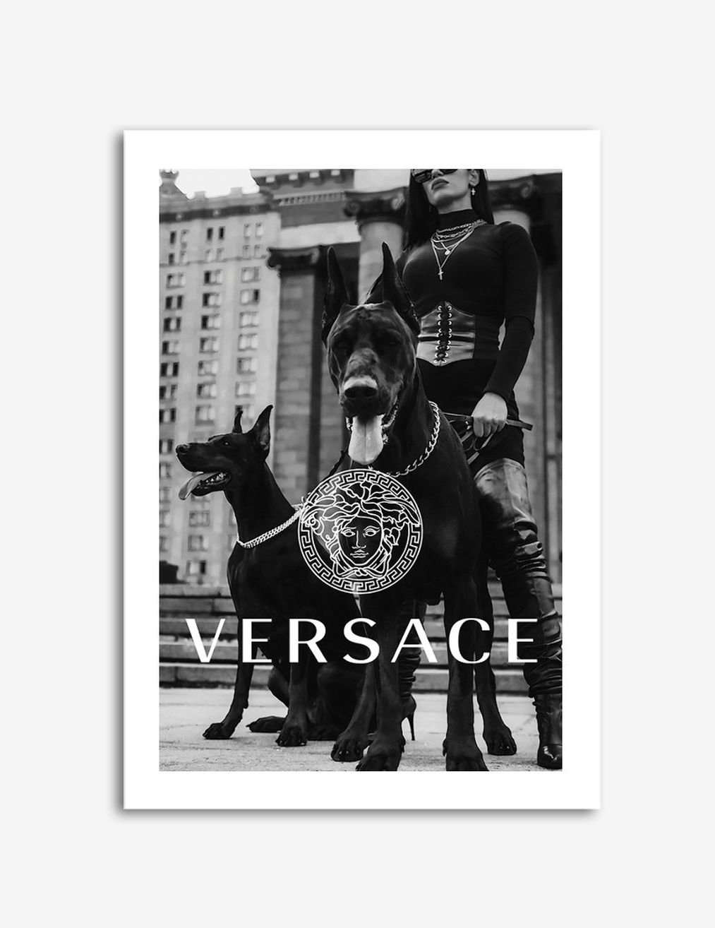 Versace Hundar Affisch