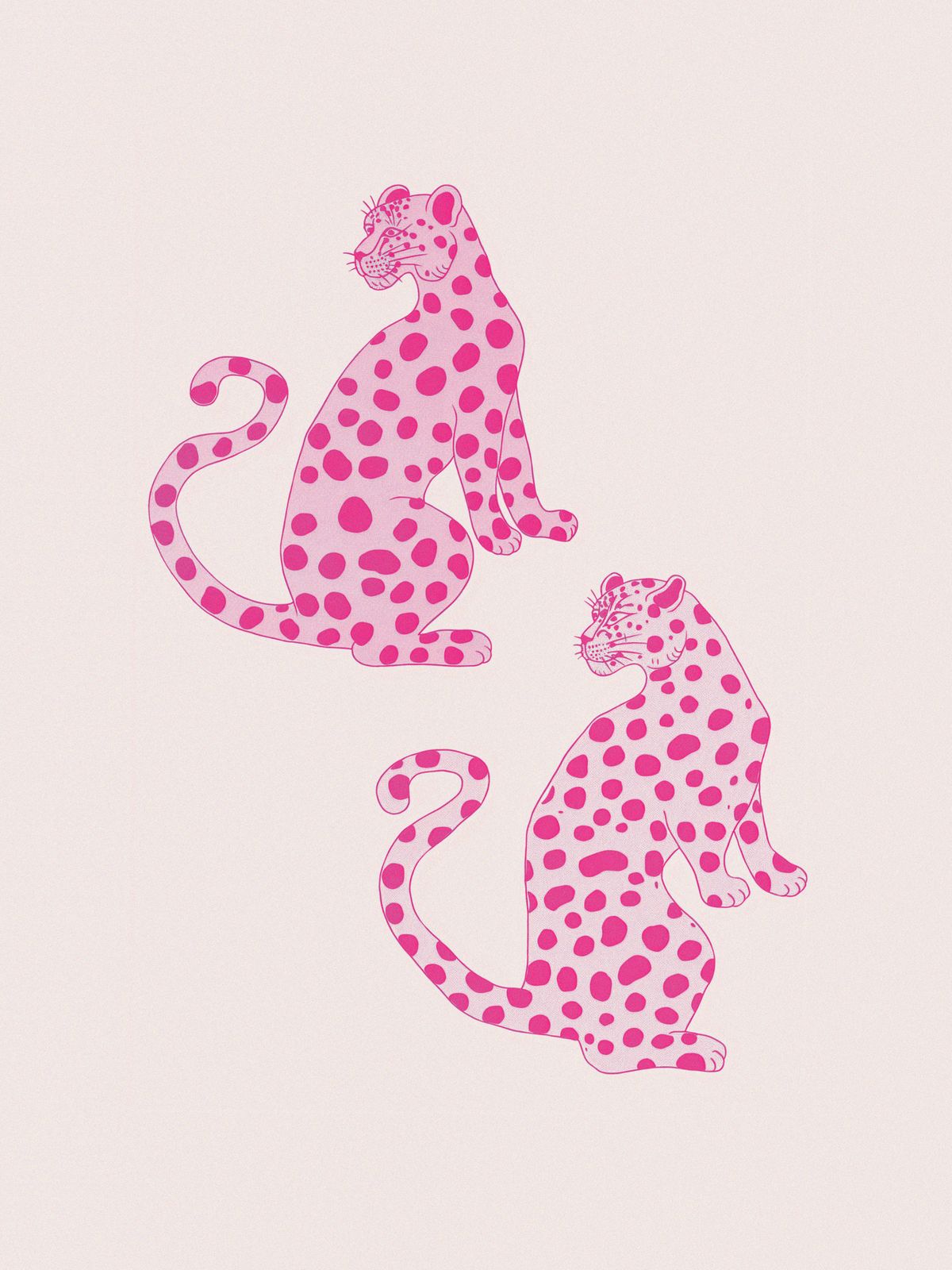 Poster - Rosa Leoparden