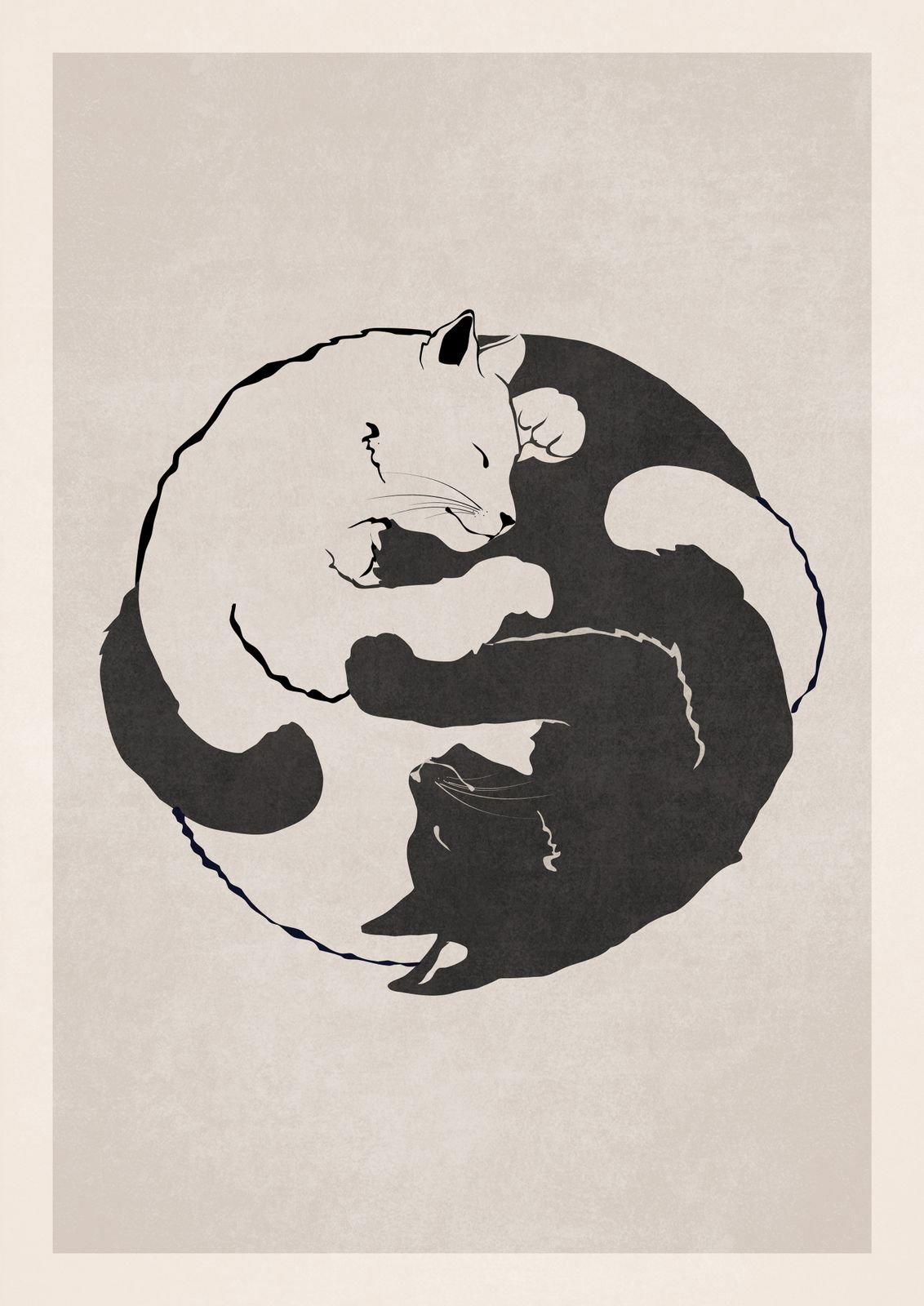 Poster - Yin Yang Katter