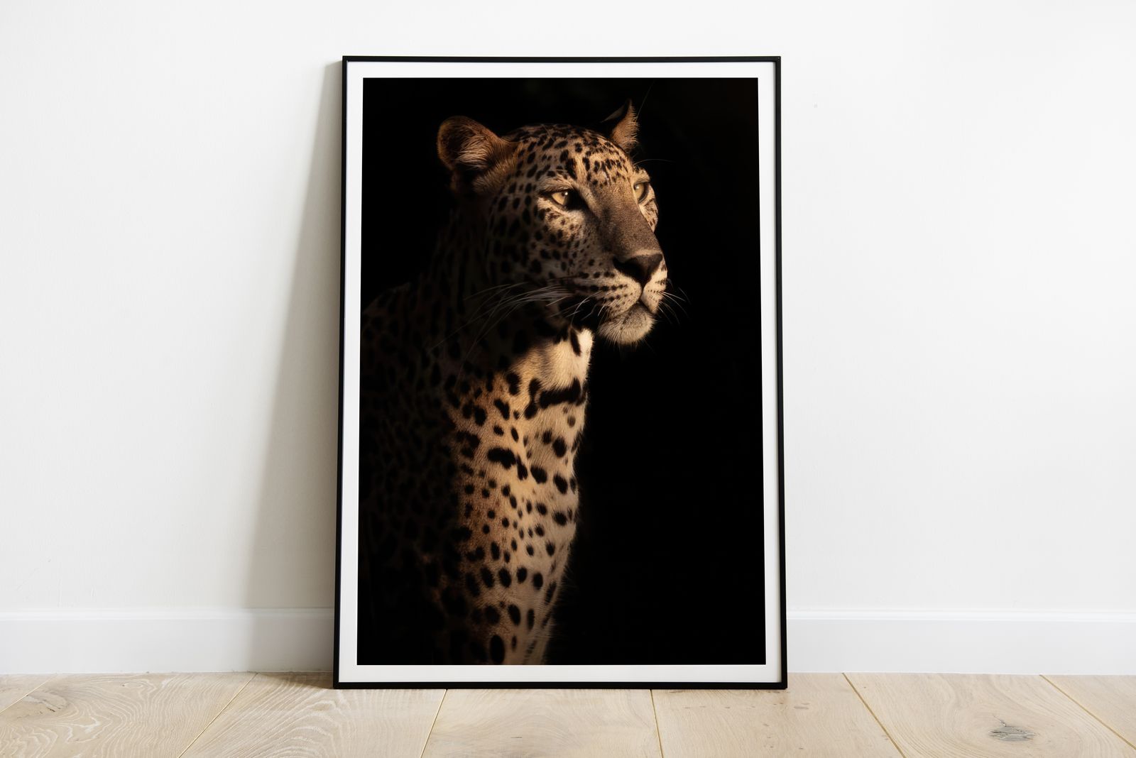 Affisch - Majestätiskt Leopard