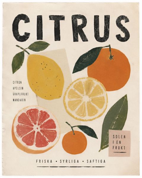Poster - Citrus Frukt Illustration