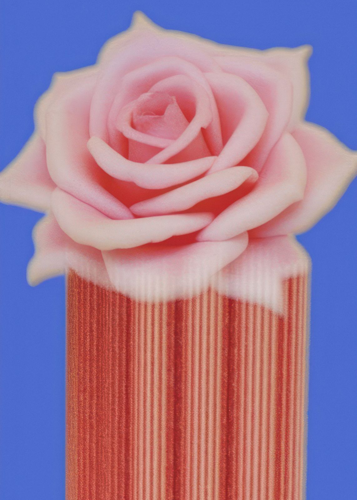Poster - Ros Konst