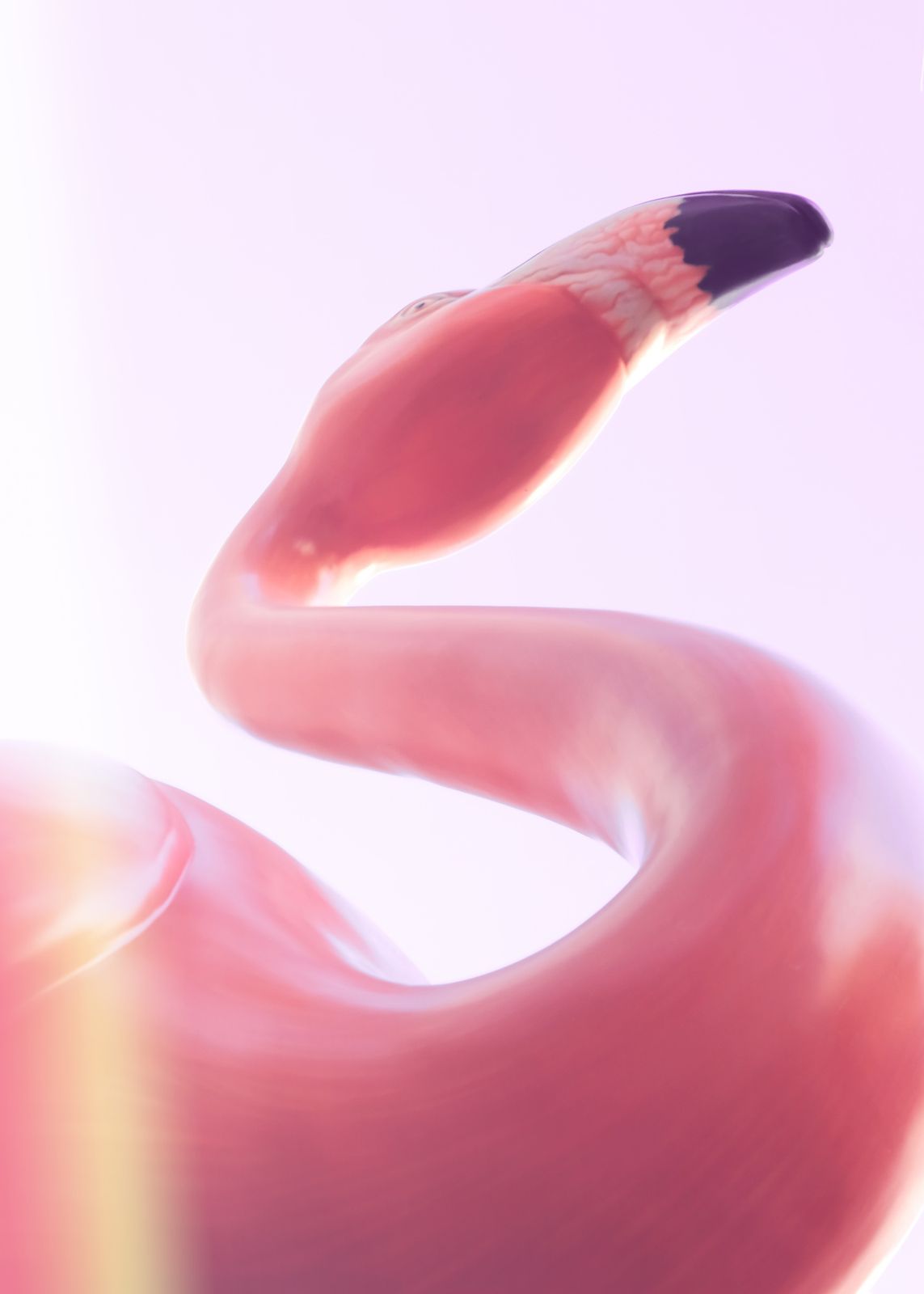 Poster - Flamingo Elegans