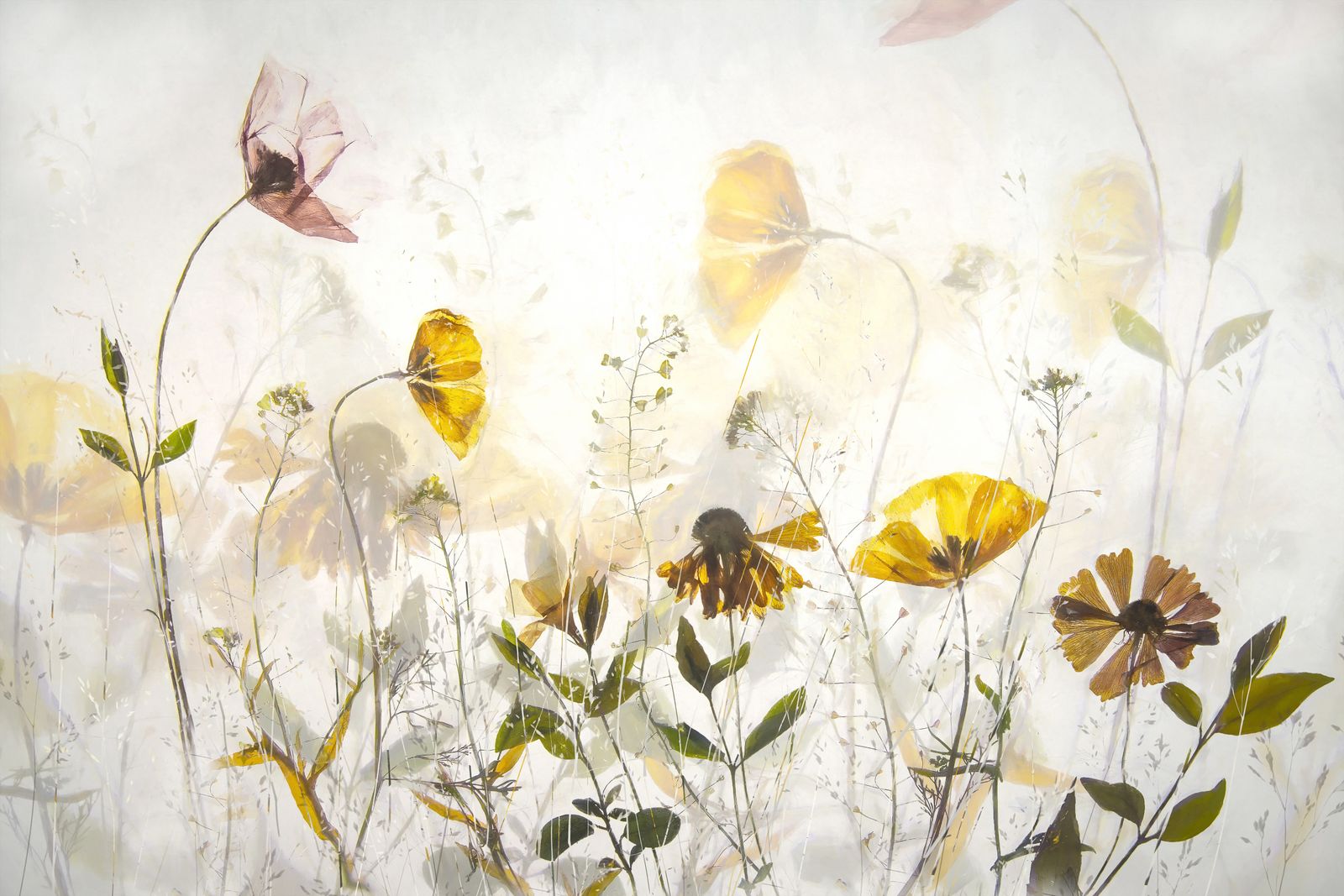 Poster - Botanisk Blomkonst