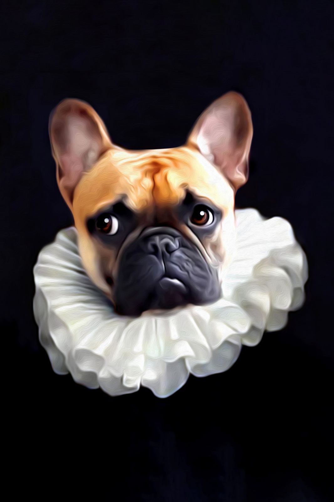 Poster - Bulldog i Ruff