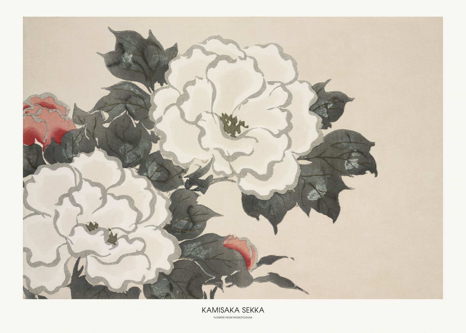 Poster - Kamisaka Sekka Blommor