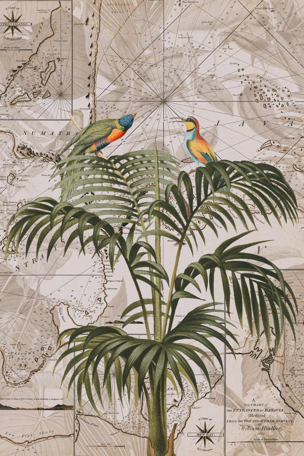 Poster - Vintage Botanisk Karta