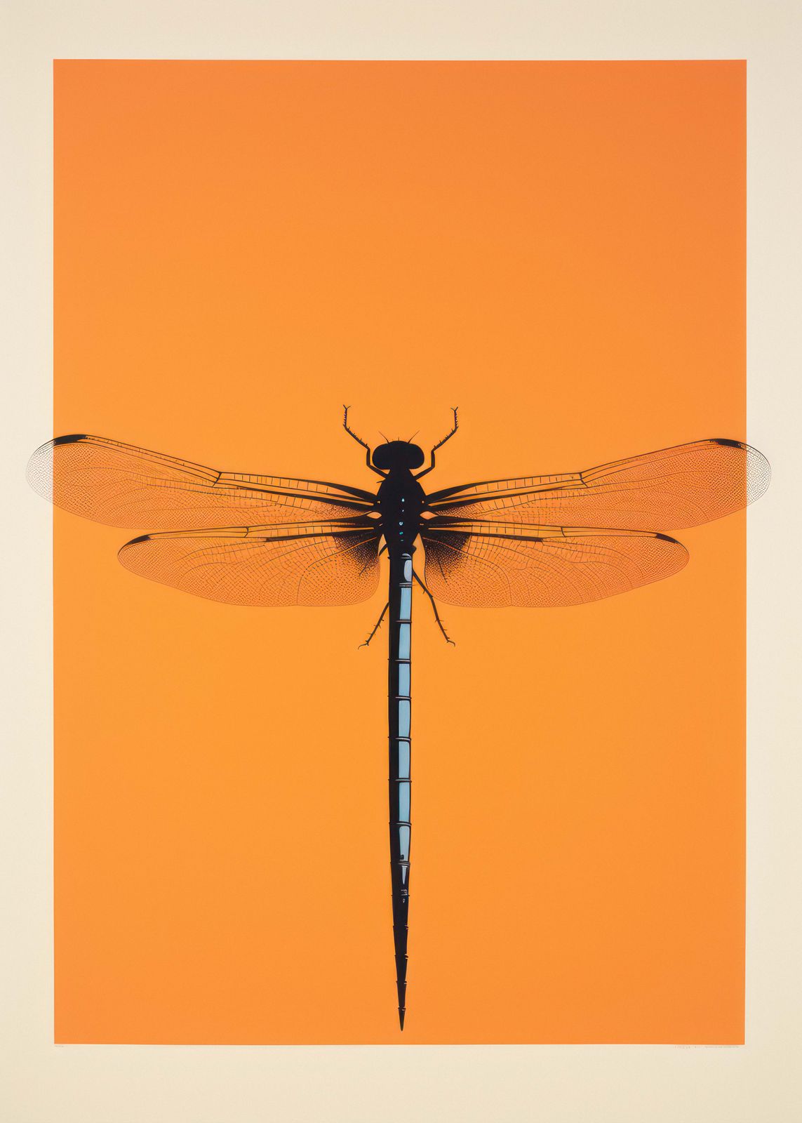 Poster - Trollslända på Orange