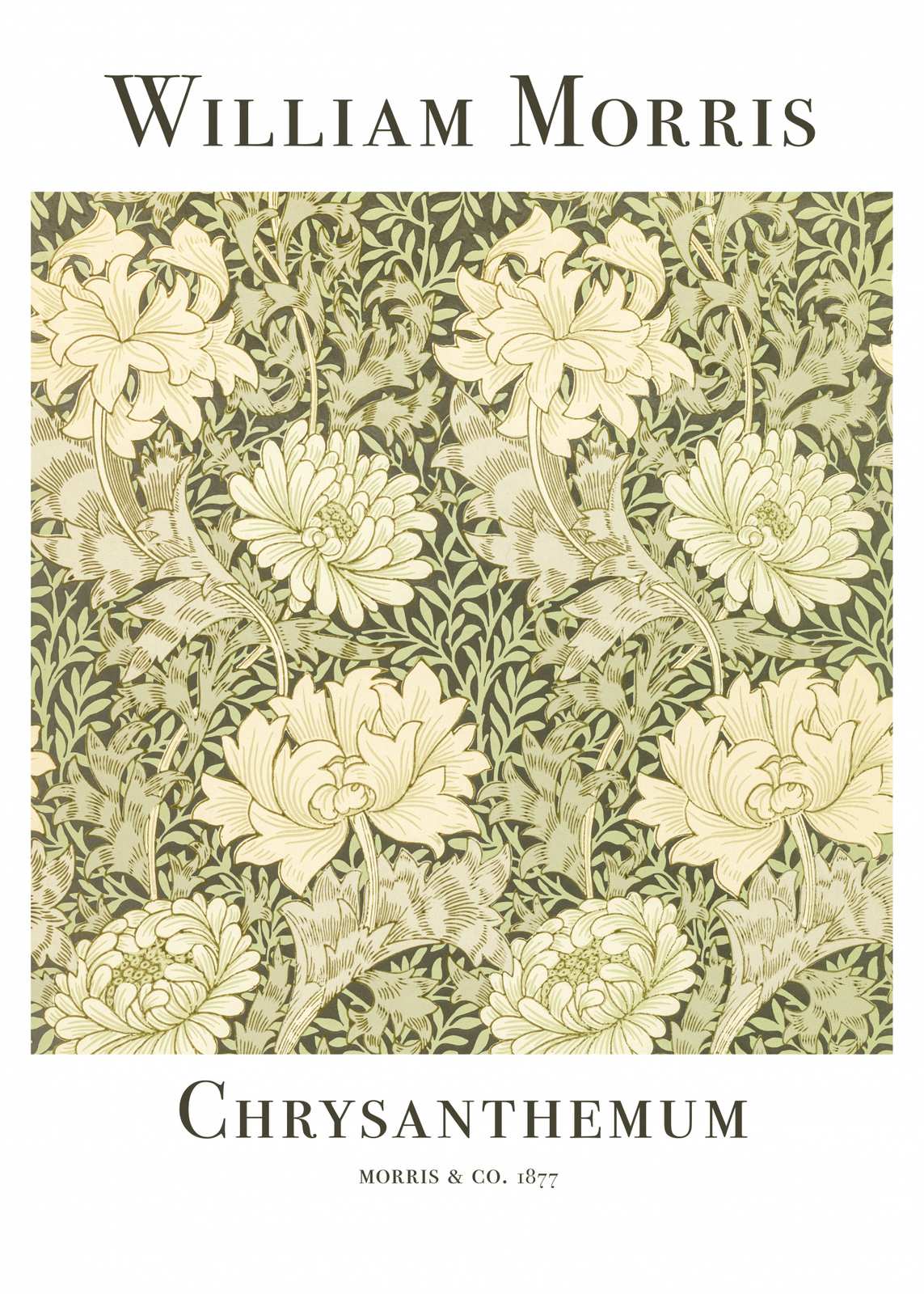 Poster - William Morris Chrysanthemum