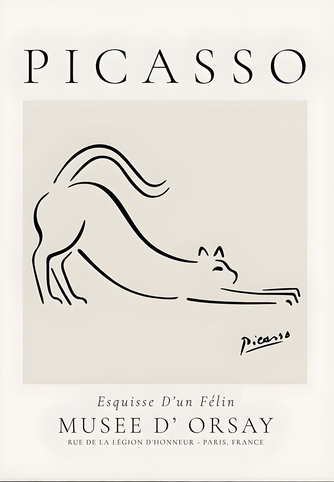 Poster - Esquisse d'un Félin