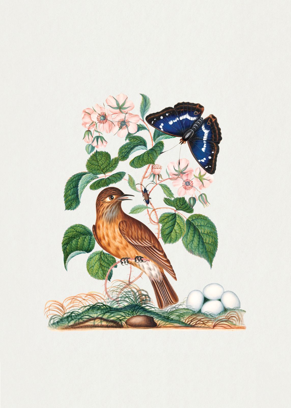 Poster - Fågel och Fjäril