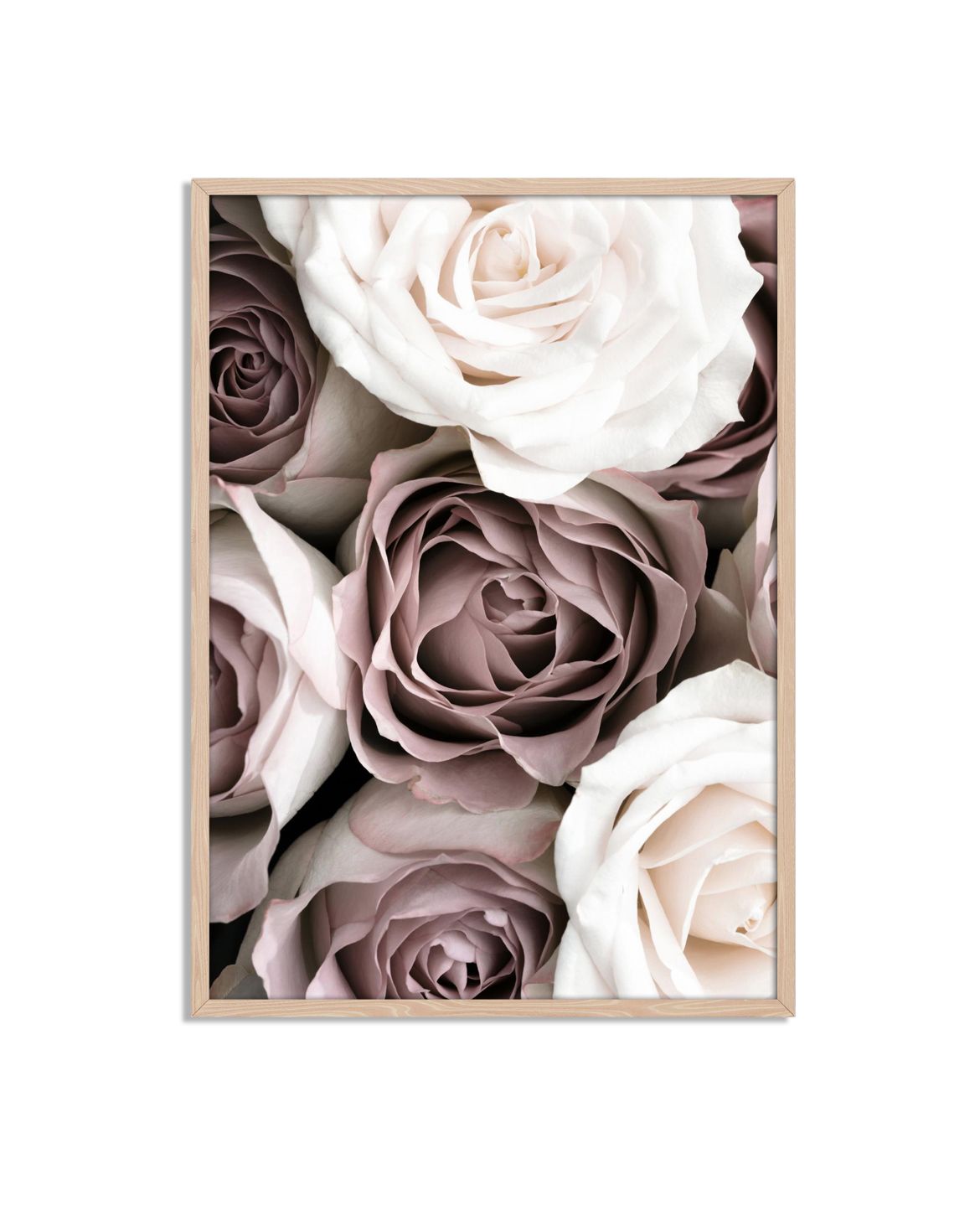 Elegant Rosor Affisch