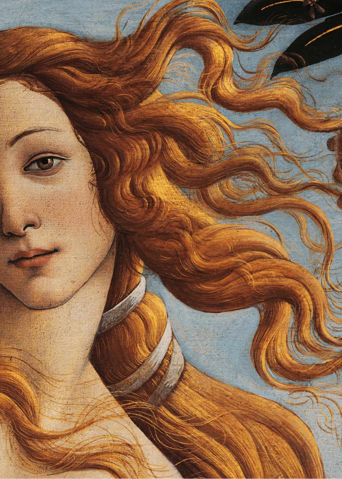 Poster - Venus födelse