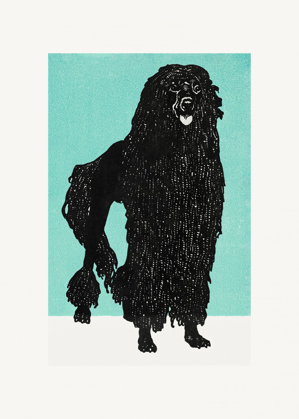 Poster - Svart Puli