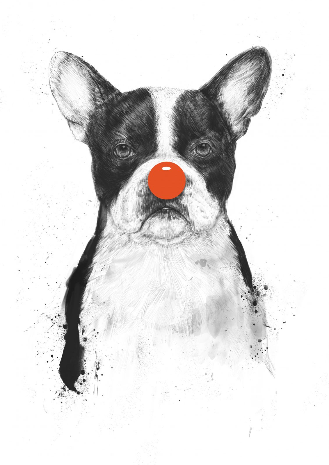 Poster - Fransk Bulldog med Röd Näsa