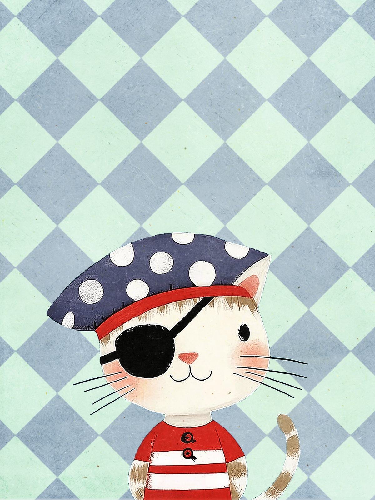 Poster - Piratkatt