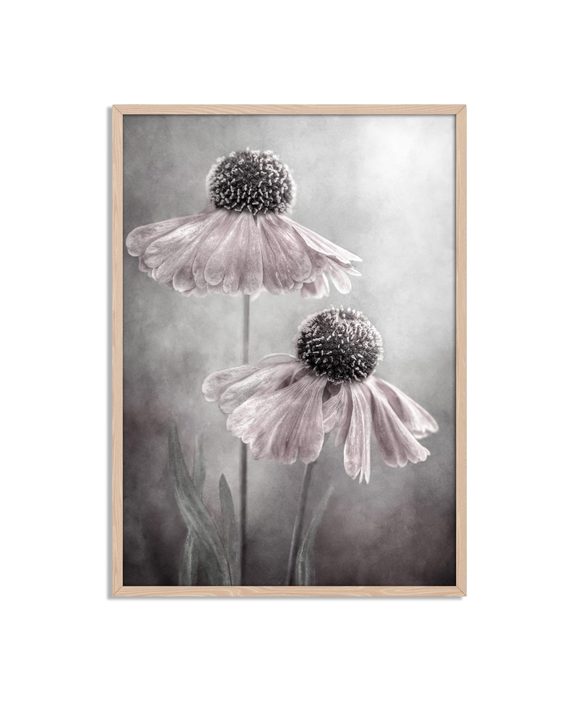 Elegant Blomstrande Blomaffisch