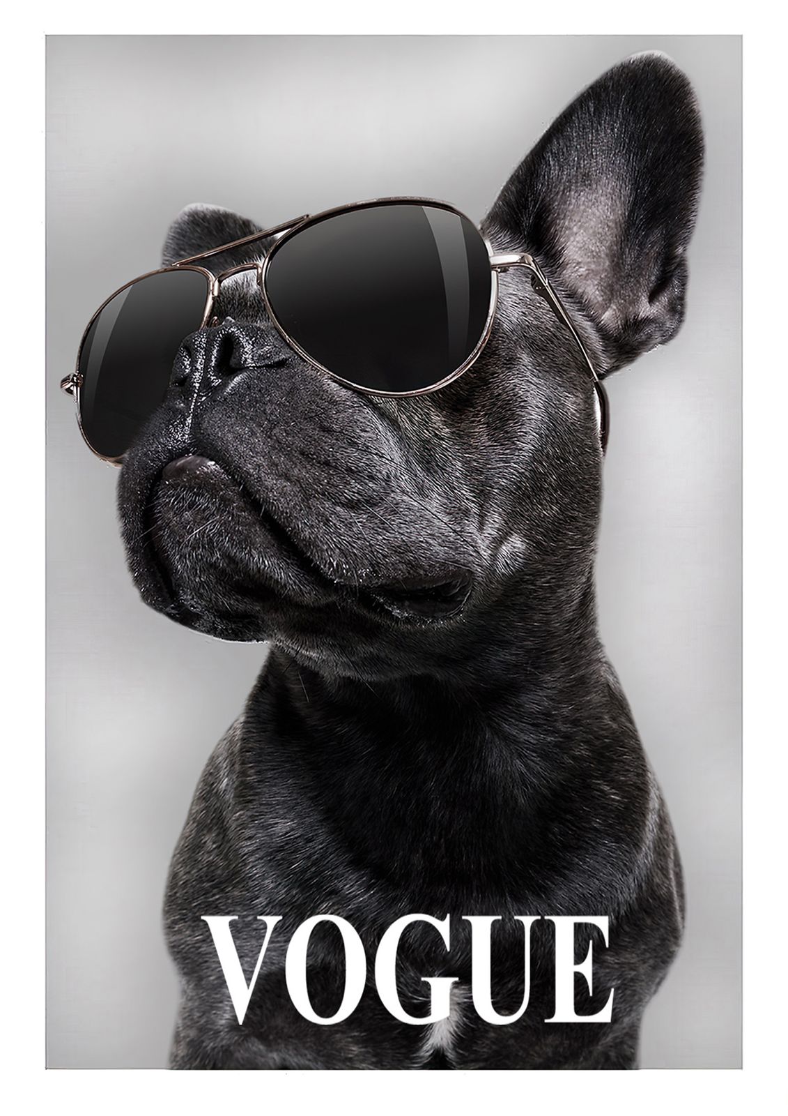 Stilfull Hund Väggposter