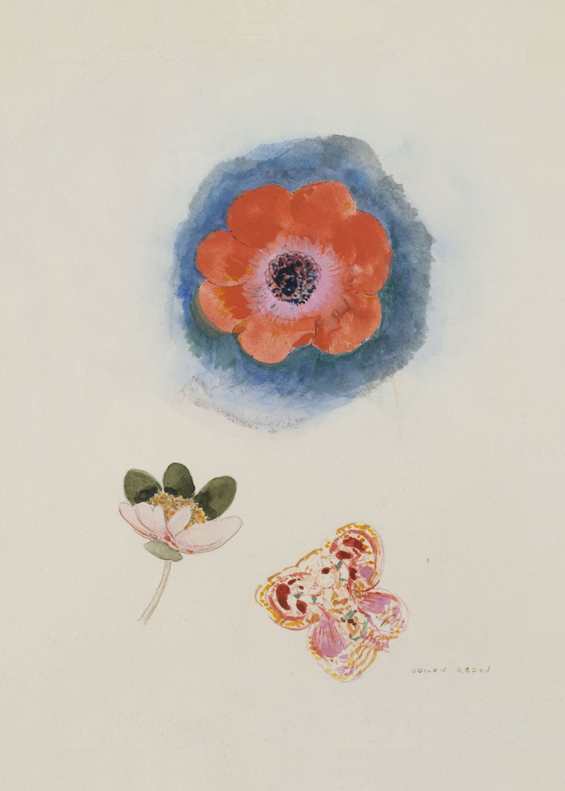 Affisch - Blommor och Fjäril