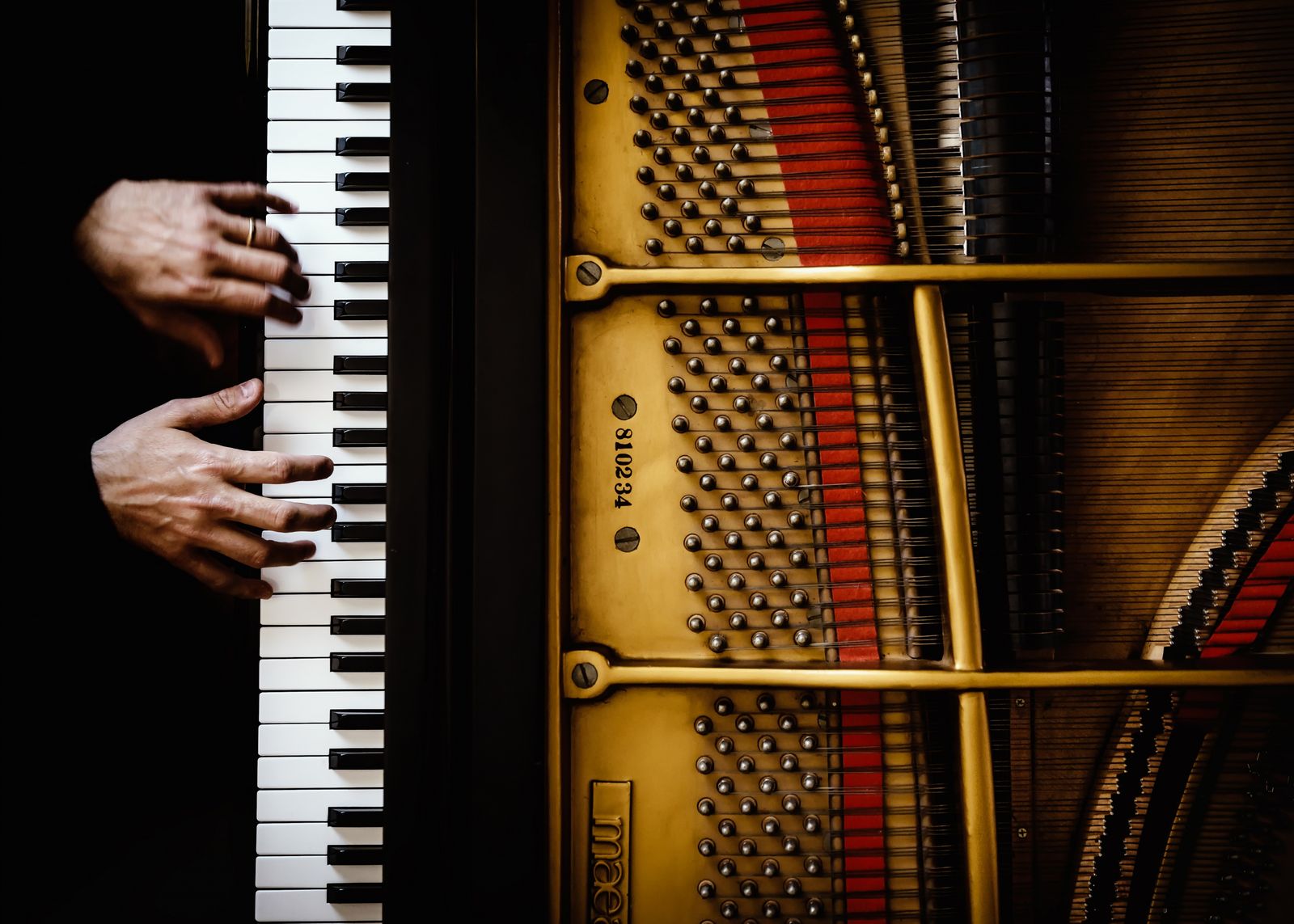 Poster - Pianistens Händer