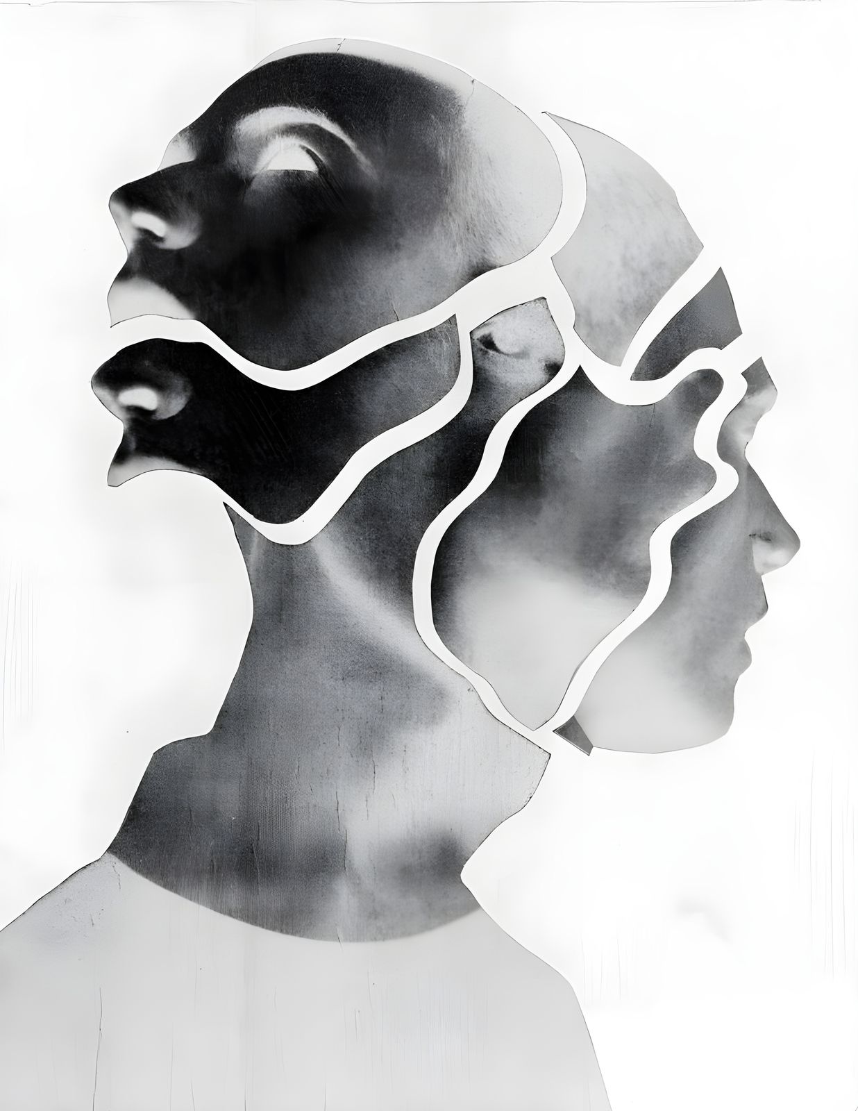 Poster - Abstrakta Dubbla Ansikten