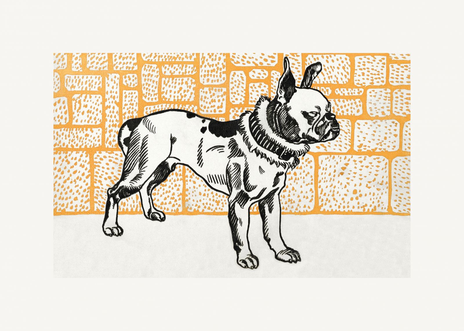 Poster - Hundillustration