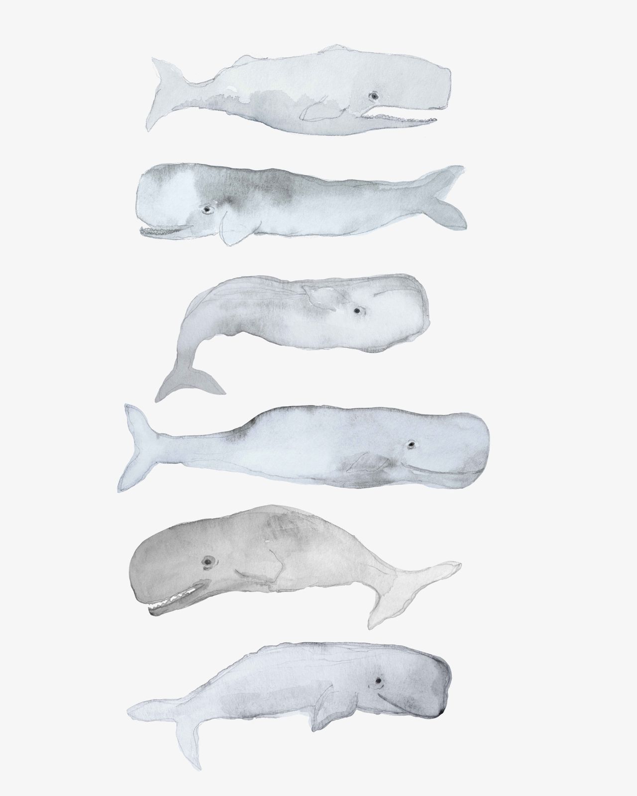 Poster - Valillustrationer