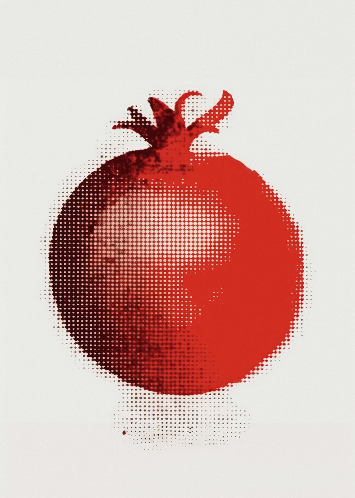 Poster - Abstrakt Granatäpple