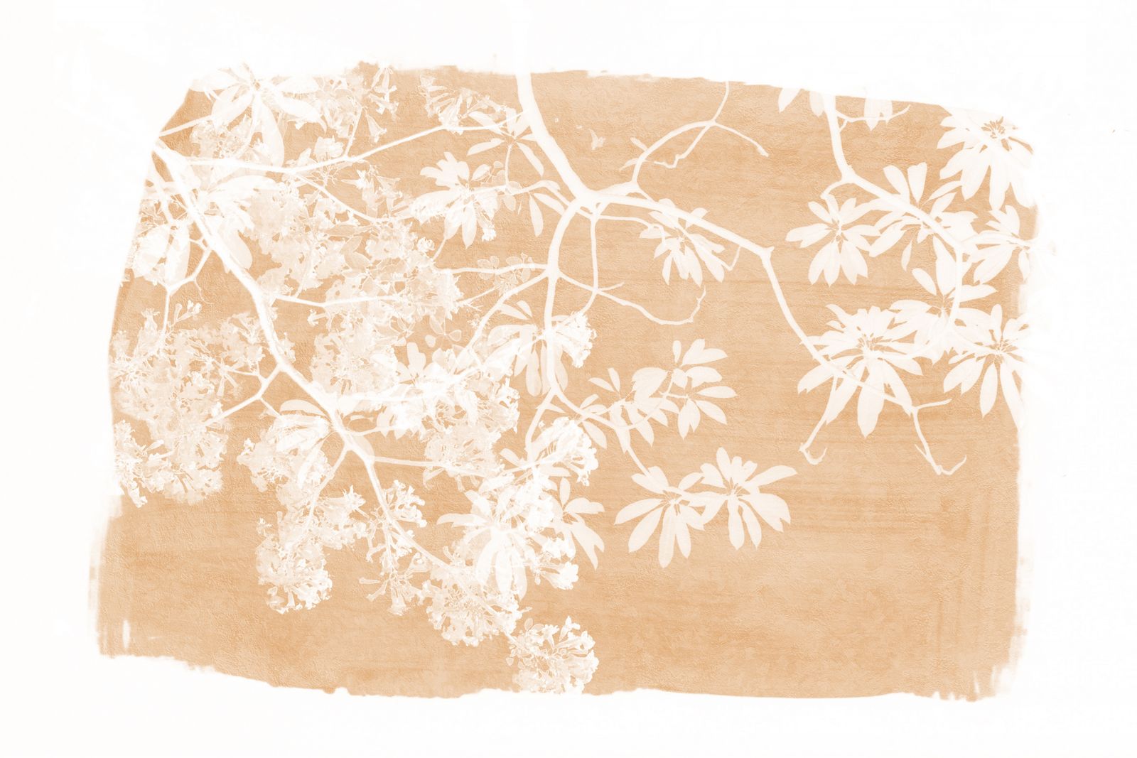 Poster - Botaniska Grenar