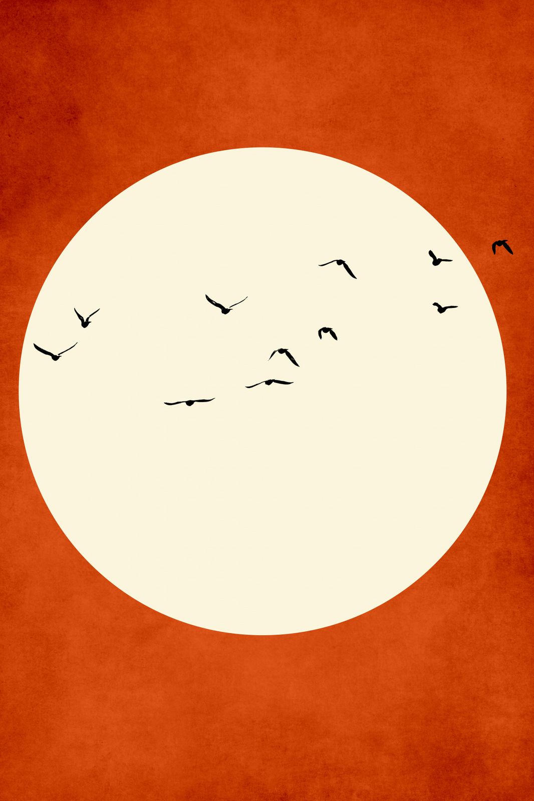 Poster - Fåglar Över Solen