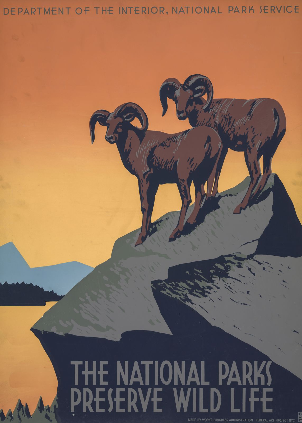 Poster - Nationalpark Vilda djur