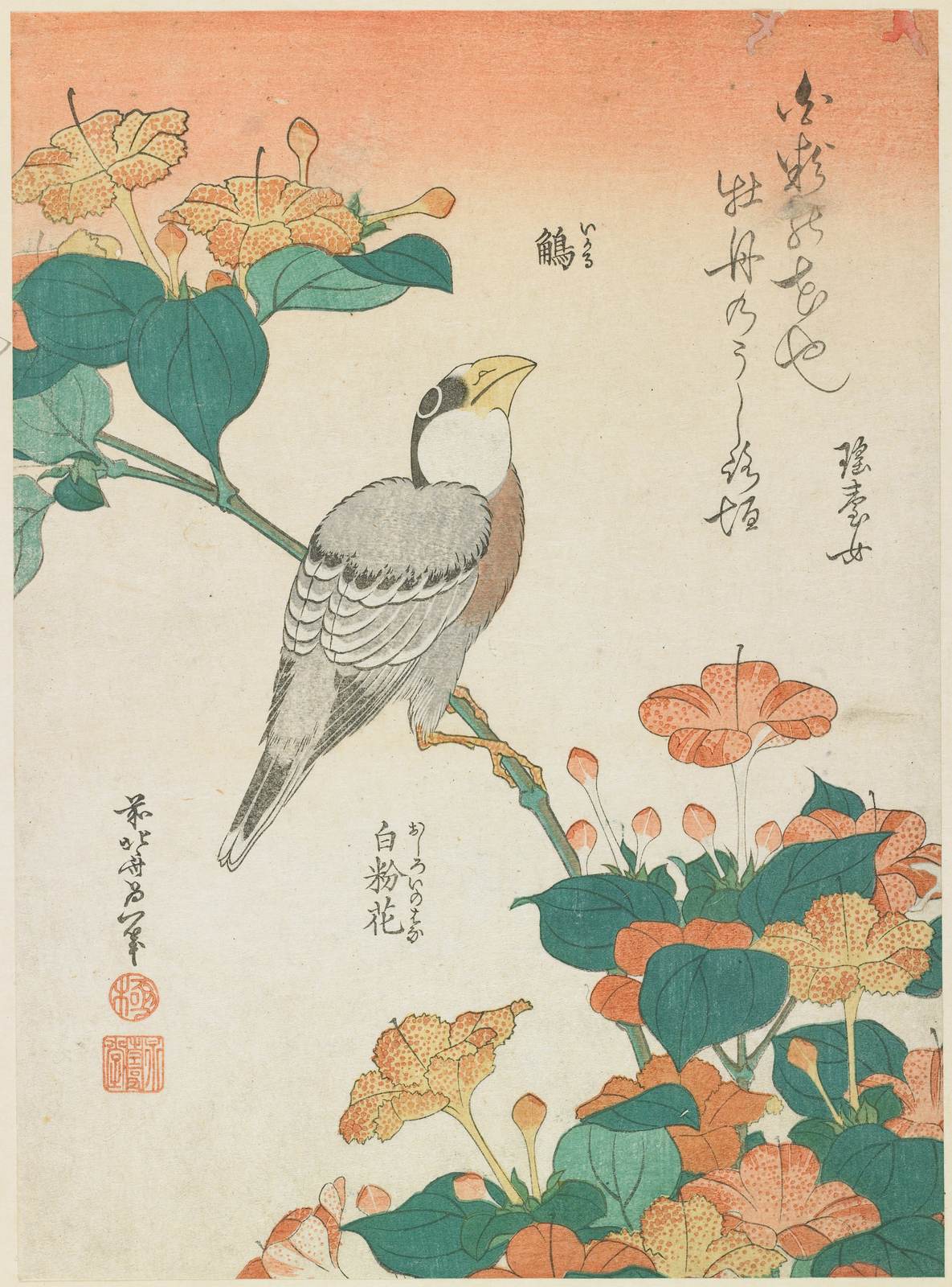 Poster - Fågel och Blommor