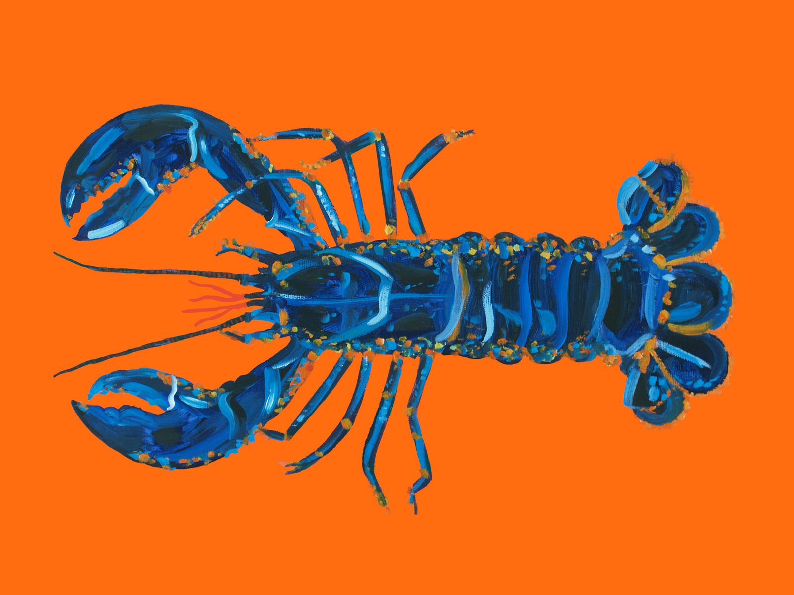 Poster - Blå Hummer