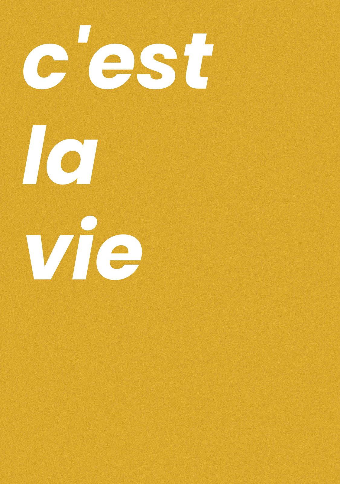 Affisch - C'est la Vie