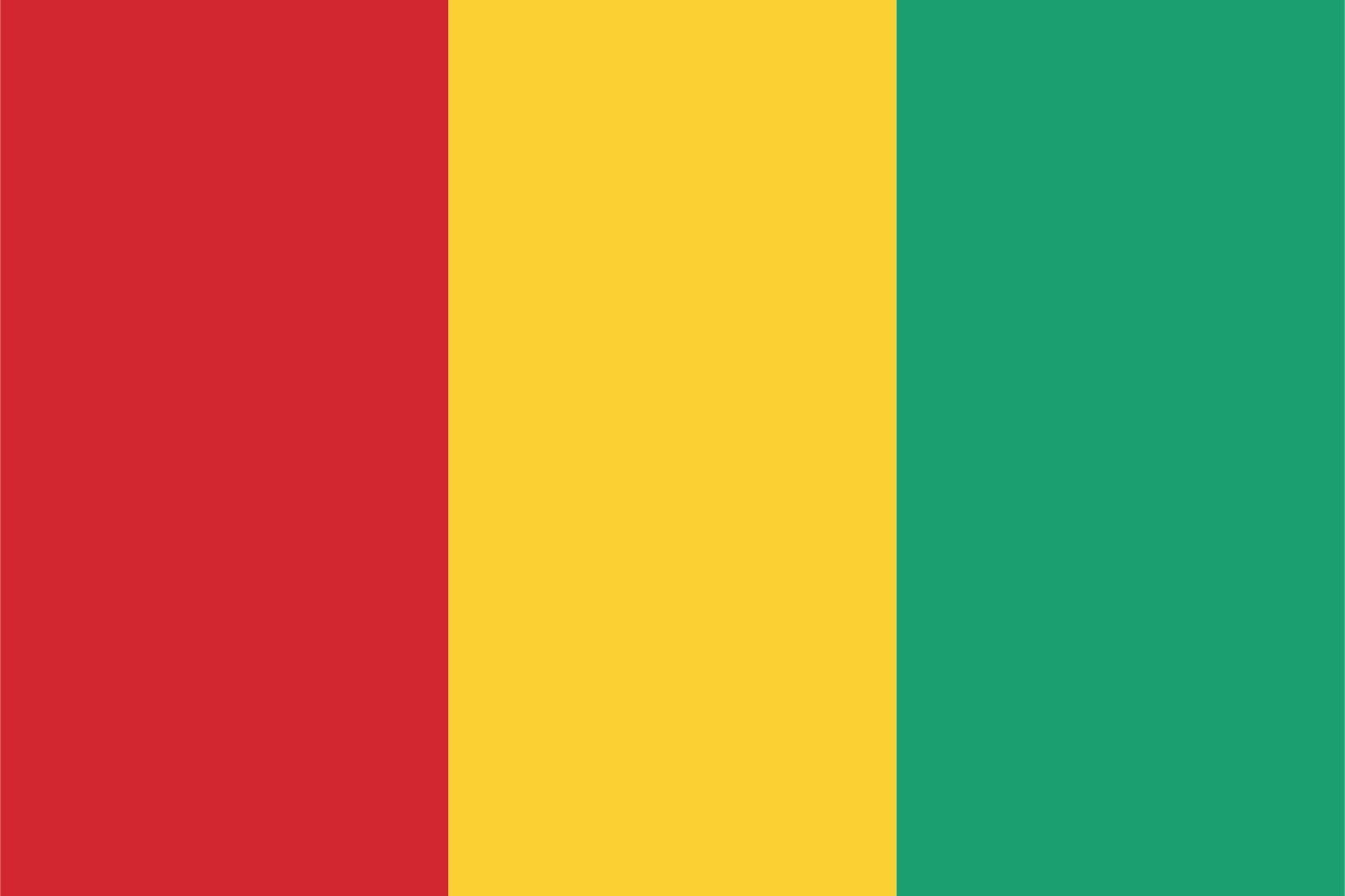 Guinea Flagga - Klistermärke