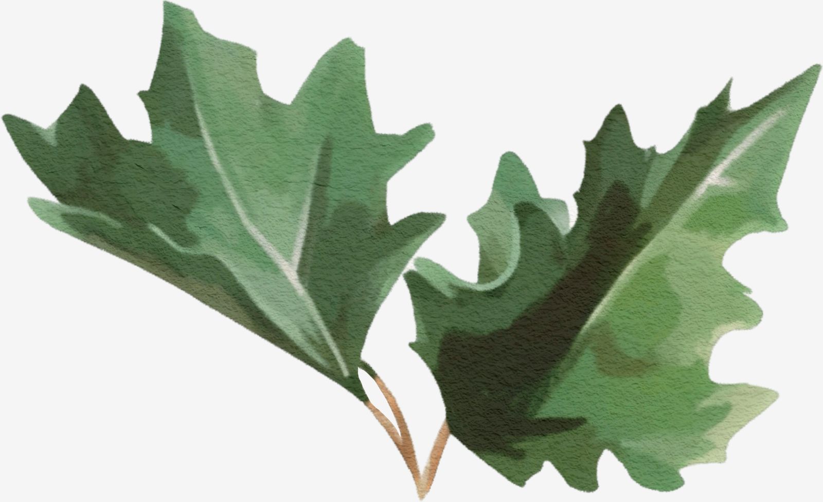 Blad Design Klistermärke